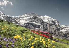 Jungfrau Express