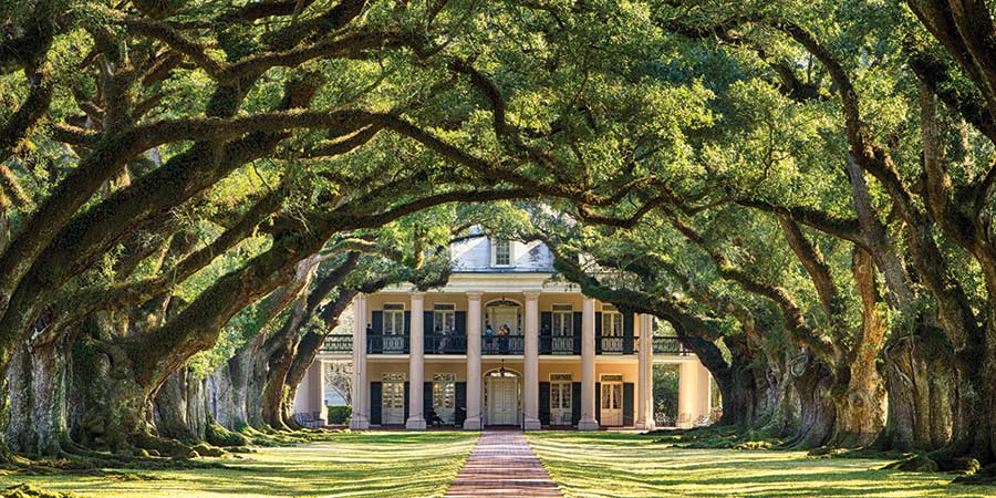 Visiting Oak Alley Plantation