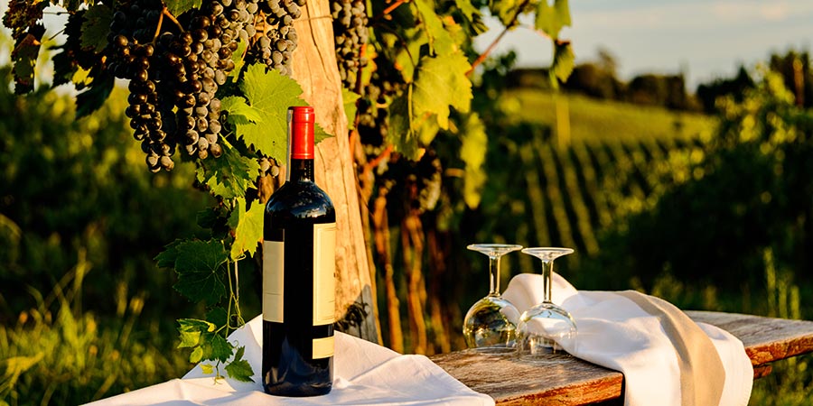 Wine bottle and glasses in a Tuscany vineyard