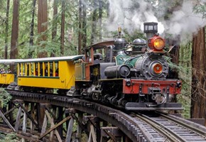 Vineyard at sunset, California