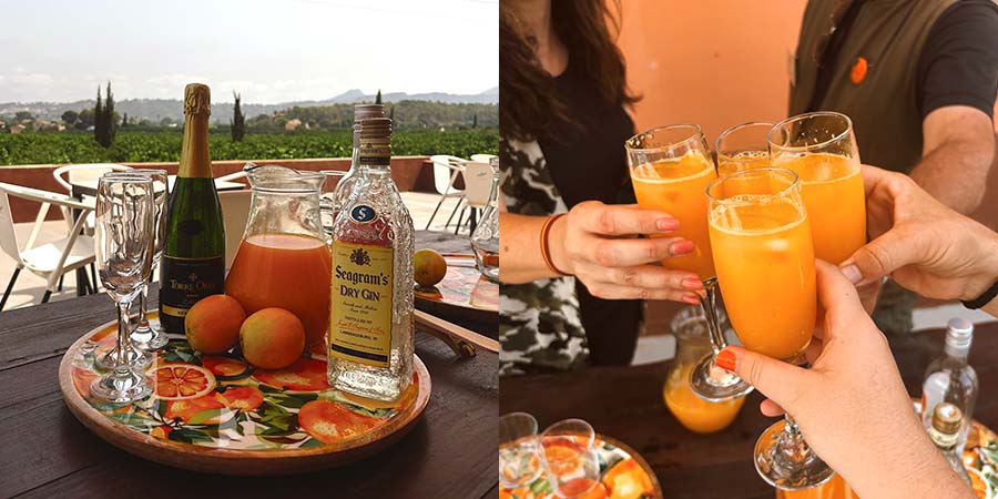 Two images from Huerto Ribera in Carcaixent, Valencia: one showing citrus orchards and orange-based drinks, and the other showing people raising glasses of orange drinks. 